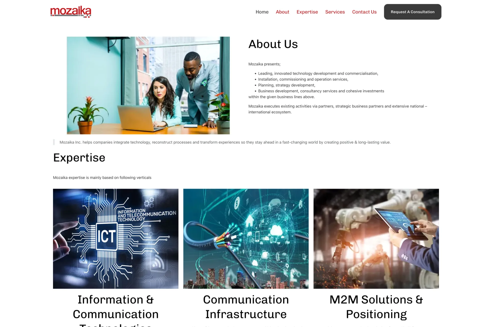 Mozaika Electronics Inc.