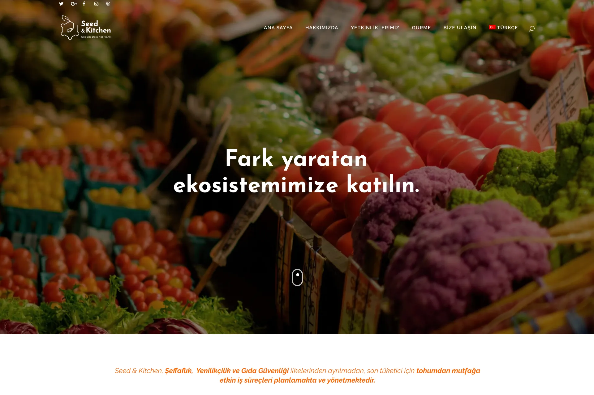 Seed & Kitchen Inc.